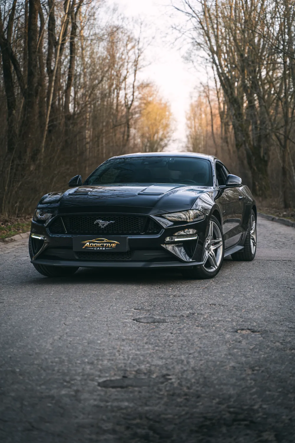 Ford Mustang GT — ADDICTIVE CARS